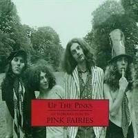 Pink Fairies : Up the Pinks : an Introduction to the Pink Fairies
